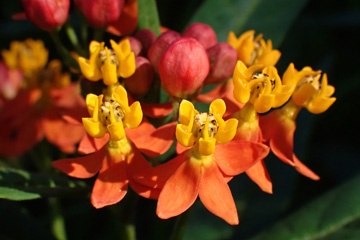 PA155841a.jpg